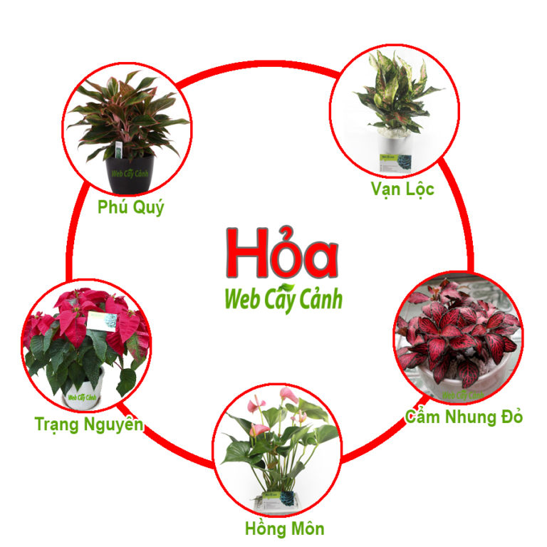 3. Tìm hiểu về mệnh hỏa và văn hóa