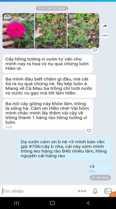 133809236 2876043386014223 9167010941415131115 n