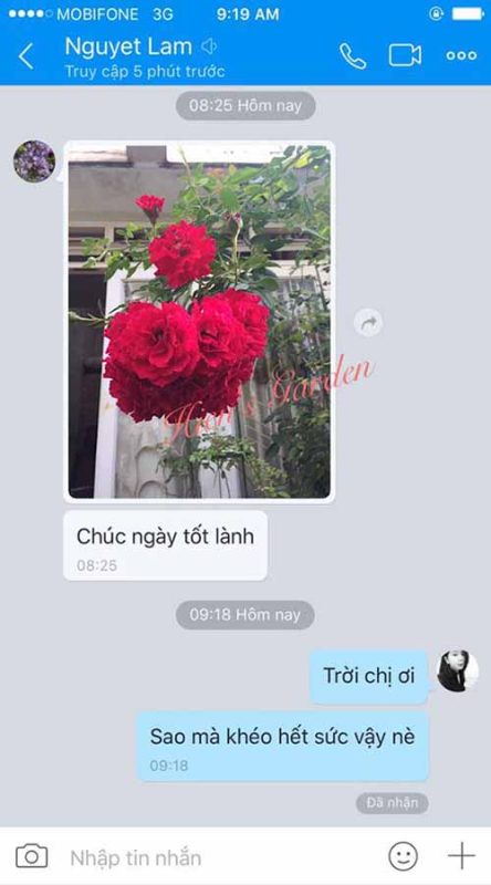 21150196 1980351978916706 4268594853555146274 n