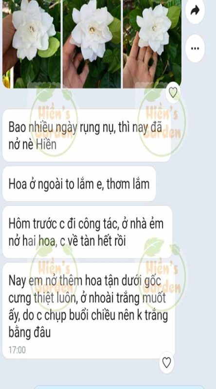 292141822 3287361691549055 7675551522117568986 n