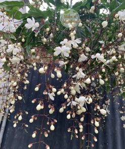 324675216 518562627035747 8894590446847412083 n