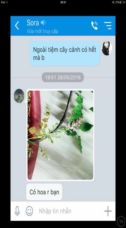 41320109 2203405263278042 4332552864044941312 n