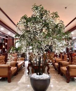 da ngoc minh chau4 hiengarden