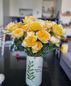Hoa hồng bụi Beatrice Rose