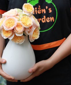 Hoa hồng bụi Juliet Rose 7 Hoa hồng bụi Juliet Rose