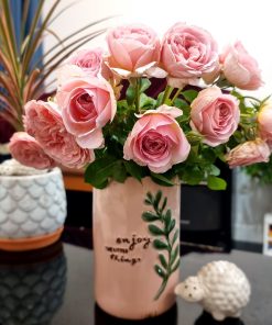 Hoa hồng bụi Abraham Darby Rose