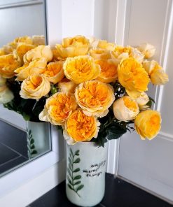 Hoa hồng bụi Beatrice Rose