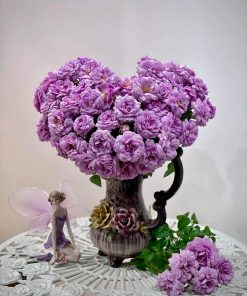 Hoa hồng bụi Blue Sky Rose 5 Hoa hồng bụi Blue Sky Rose