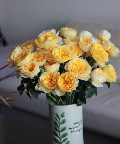 Hoa hồng bụi Beatrice Rose