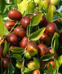 z4114806284335 e4d0fd7ccf311e810fbd196d4d6450bf