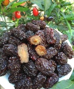 z4114865579509 5dc4f8c3d11940e3040201950e41d6d1