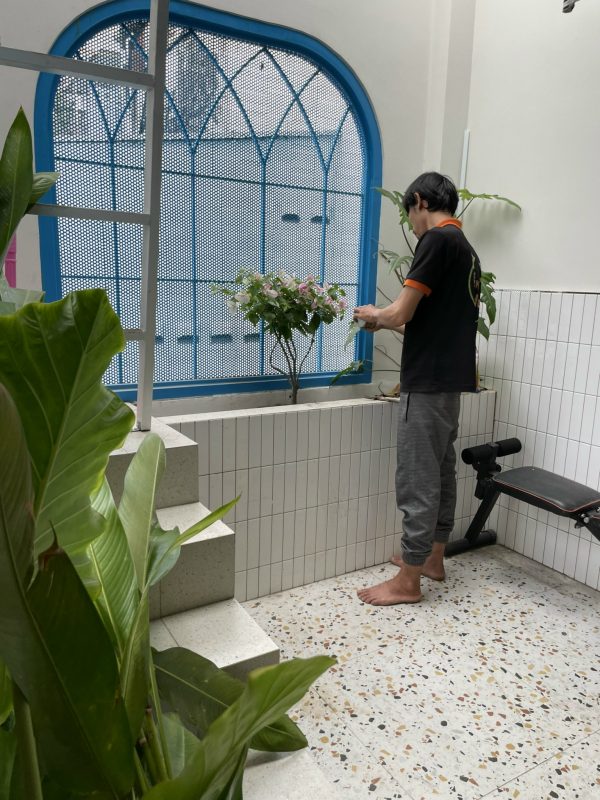 Dịch vụ thiết kế thi công sân vườn và chăm sóc cây tại Hien's Garden: Giá tốt và hiệu quả hàng đầu tại thành phố Hồ Chí Minh và trên toàn quốc 3 cham soc cay