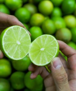 Chanh Không Hạt 4 Cây chanh