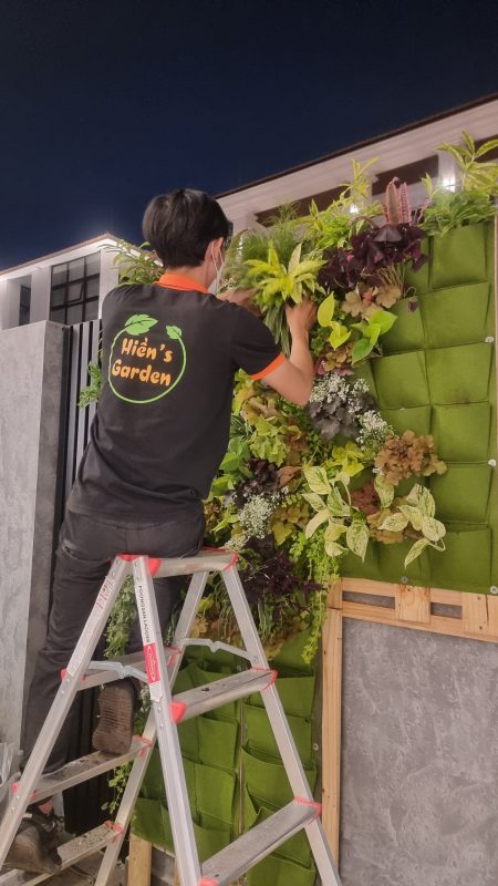 Dịch vụ thiết kế thi công sân vườn và chăm sóc cây tại Hien's Garden: Giá tốt và hiệu quả hàng đầu tại thành phố Hồ Chí Minh và trên toàn quốc 14 dich vu trang tri