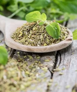 Cây Oregano