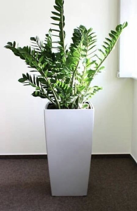 z4211988963553 b3270760630d6f666994f7aca1171cbc