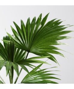 z4238475630525 f5c6f283dae753b1c9a6240c5cdf738c